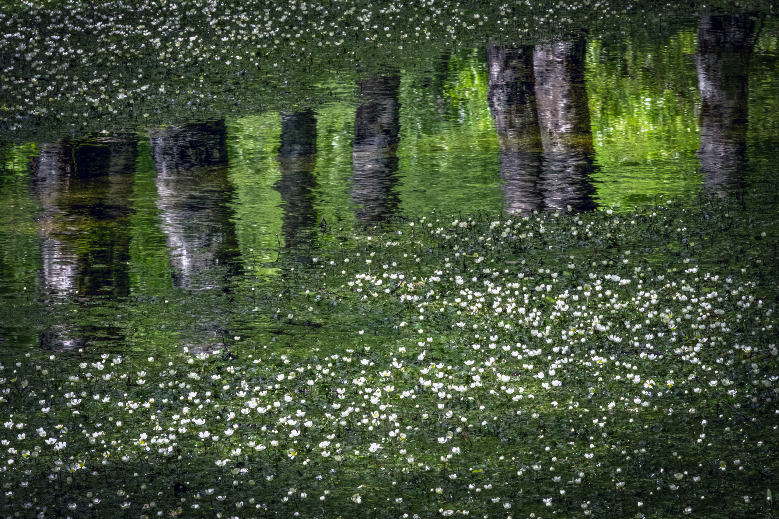 12.º Festival de Fotografia de Paisagem