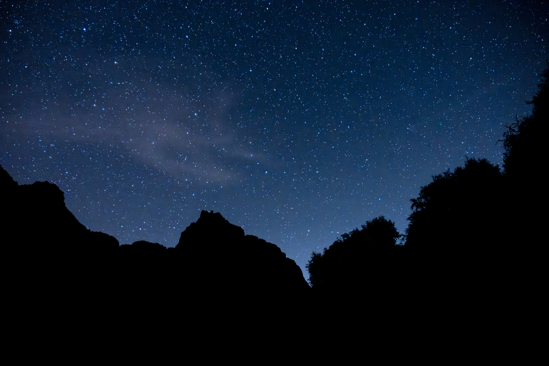 Palestras, Passeios, Workshops