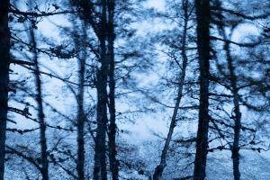 2.º Classificado: Jacinto Policarpo