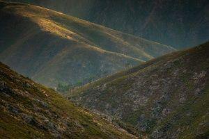 2.º Classificado: Nuno Henriques