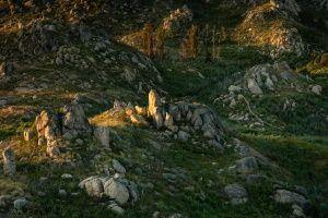 1.º Classificado: Nuno Henriques