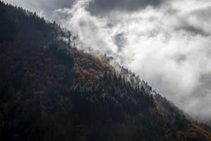 1.º Classificado: Pedro Carvalho