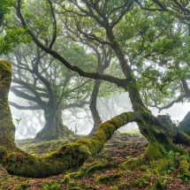 Fotógrafo de Paisagem do Ano: Luís Ferreira