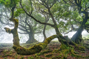 Fotógrafo de Paisagem do Ano: Luís Ferreira