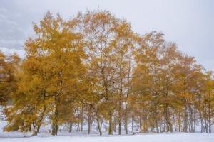 2.º Classificado: Nuno Luís