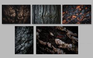 2.º Classificado: Alex Righetti