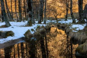 1.º Classificado - Francisco Coimbra