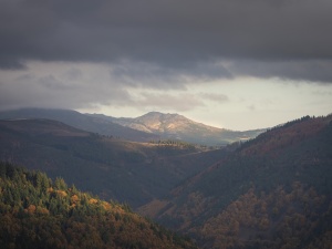 2.º Classificado - Pedro Silva