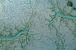 1.º Classificado - Antonio Fernandez