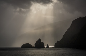 2.º Classificado - David Canário