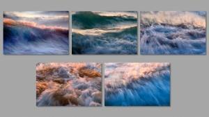 Menção Honrosa - Nuno Cabrita