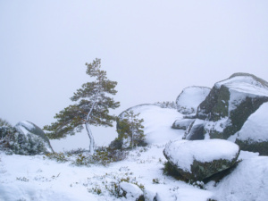 2.º Classificado: Jorge Almeida