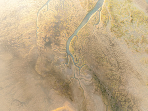 2.º Classificado: Nuno Cabrita