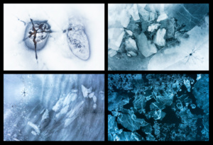 1º Classificado: Manuel Carmona