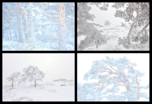 2.º Classificado: Javier Lafuente